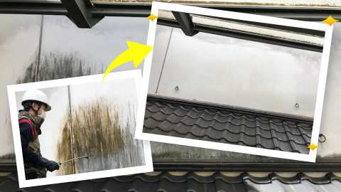 MIST工法(建物カビ改善)