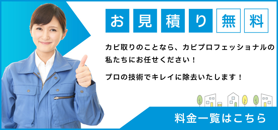~ お見積りは無料 ~ カビ取りのことなら、カビプロフェッショナルの私たちにお任せください! プロの技術でキレイに除去いたします!